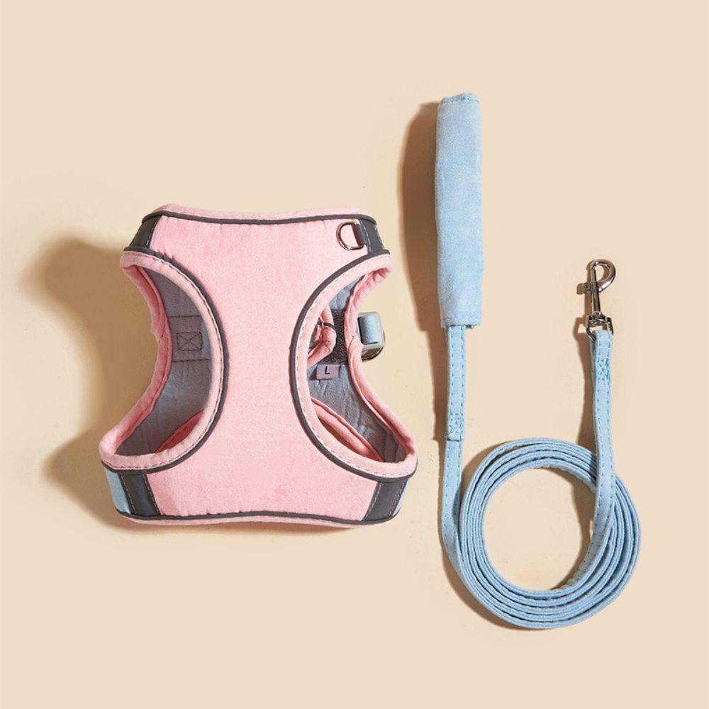 Imbracatura per Gatti Oscar - Sicura e Confortevole | Misure Regolabili