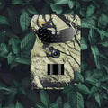 Scout Oeil Sauvage